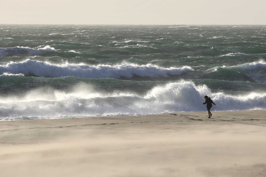 A boy stands on the beach as an approaching storm whips up sand and salt spray in the afternoon sun