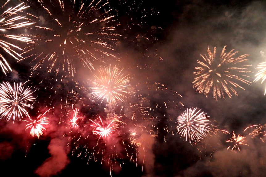 Fireworks in night sky