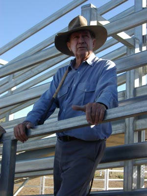 En la imagen, se ve a un hombre vestido con una camisa azul y un sombrero estilo Akubra mirando el patio de venta de ganado. 