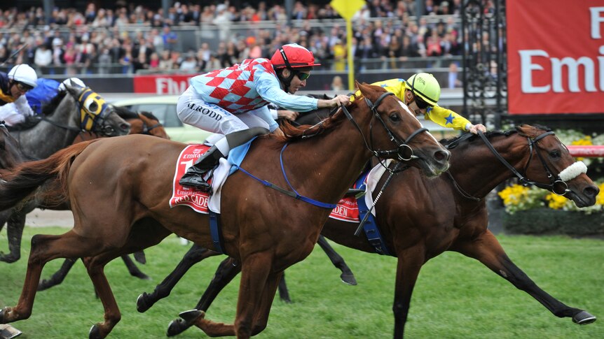 Photo finish ... Christophe Lemaire aboard Dunaden (right) edges home in front of Red Cadeaux.