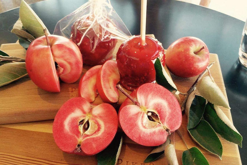 A number of red fleshed apples, some toffied and some cut in half on display on a wooden chopping board.