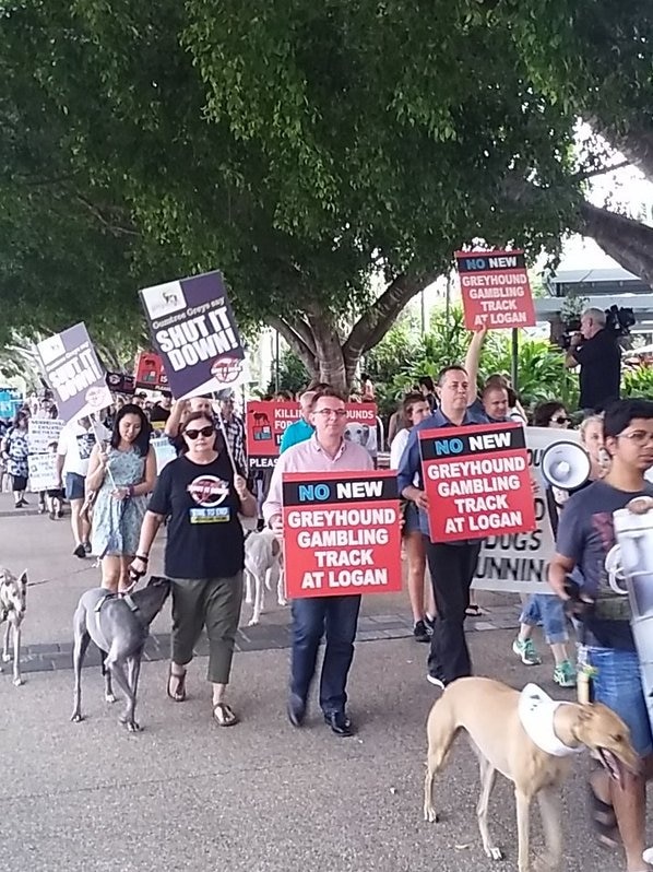 People hold signs while they walk their greyhounds in Brisbane.