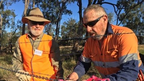 Volunteers work on repairing fences torn down by floods from Cyclone Debbie.