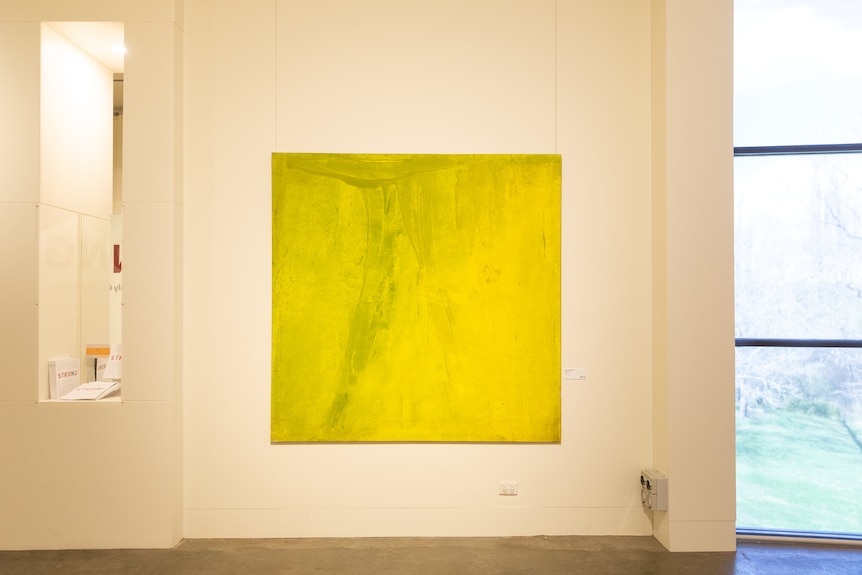 芭芭拉·麦凯 (Barbara McKay) 的大型黄色和金色画作，名为 Wattle。
