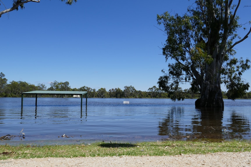 Water levels reach the banks of a park with the water coming almost halfway up a structure 