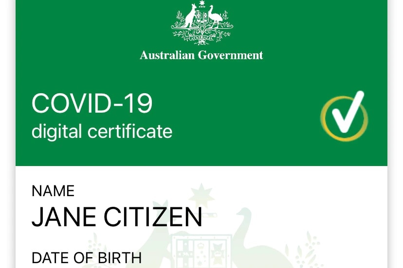 A sample of the COVID-19 vaccination certificate. 