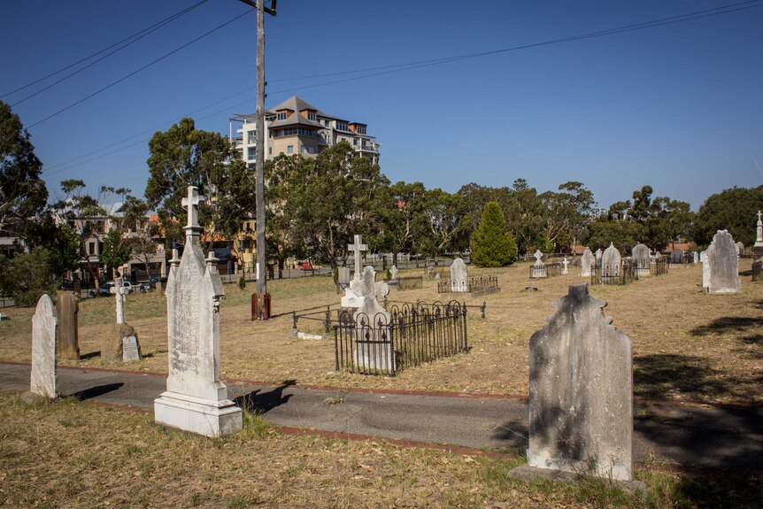 East Perth Cemeteries are now surrounded by new houses, November 30, 2015.
