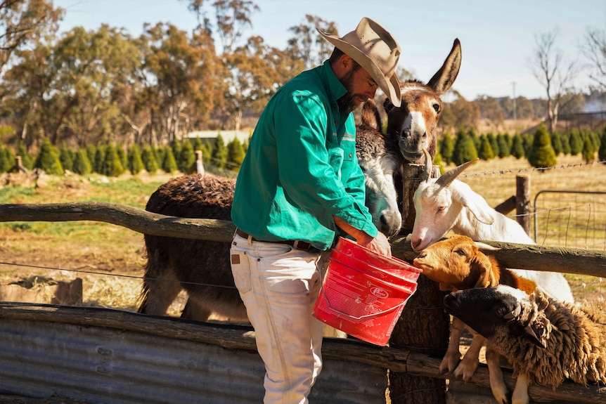 Brad Fraser feeds goats and donkeys on his farm