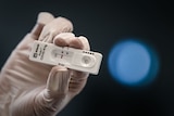 A medical personnel holds a new rapid-result Covid-19 antigen test.