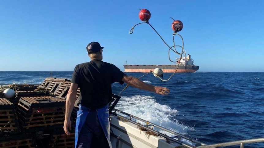 WA lobster fishers call for respect as cargo ships allegedly run