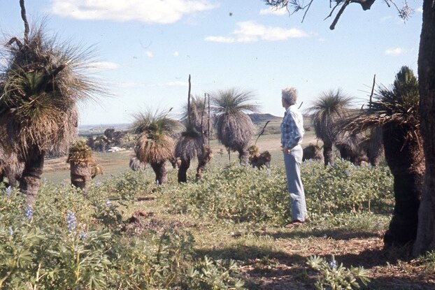 Stow looks across Sandsprings country near Geraldton, August 1974.