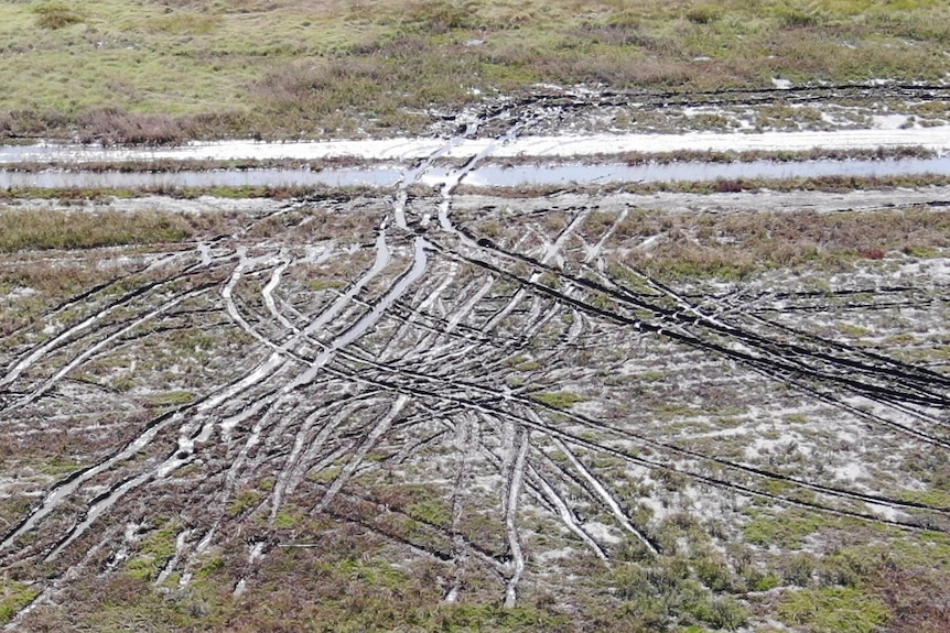 A drone shot of muddy tire tracks throughout a grassy field. 