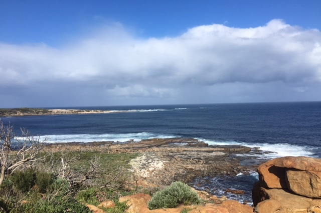 A rocky outcrop at the beach, which in this picture looks pretty flat with deep blue water.