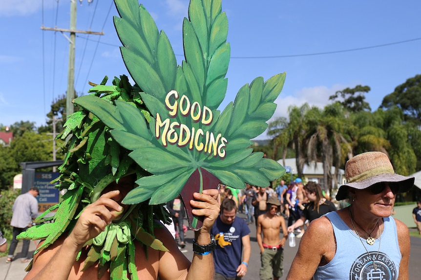 A sign in the shape of a cannabis leaf with 'good medicine' written on it