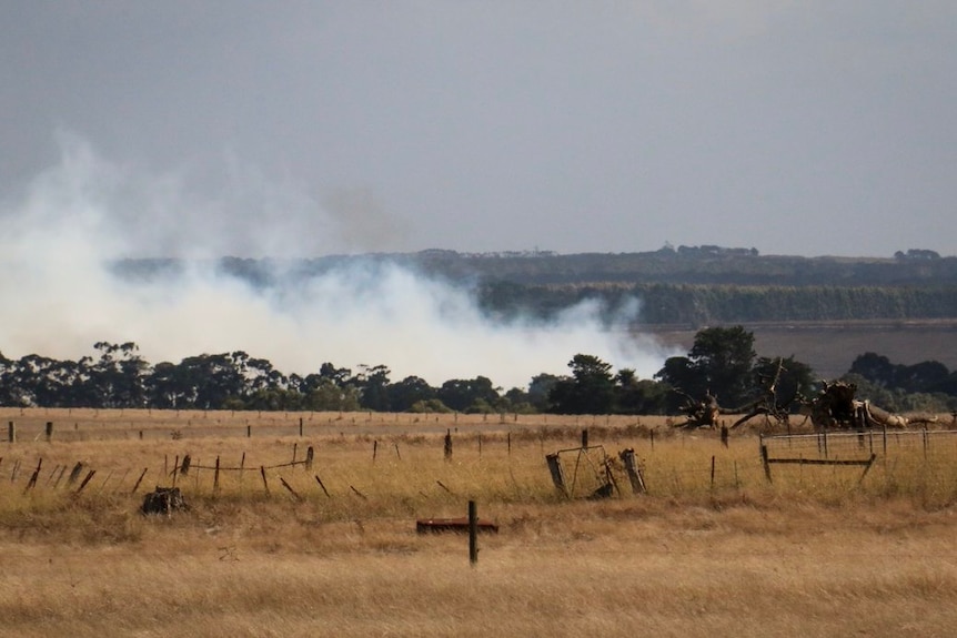 The fire front outside Cobden in south-west Victoria.