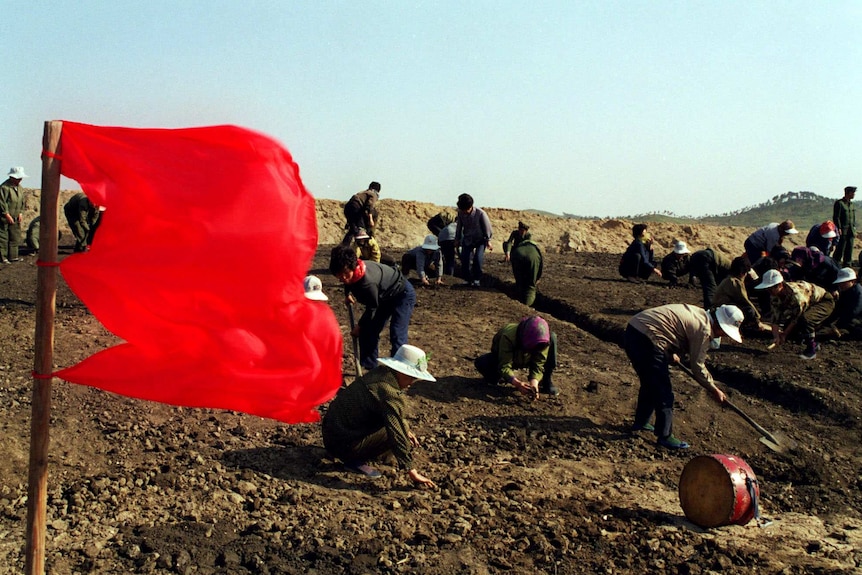 People digging in a muddy field