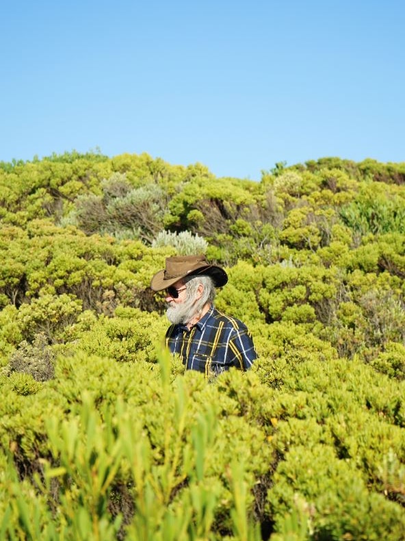 Man with long white beard and wide-brimmed hat surrounded by vegetation