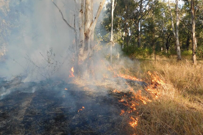 Bushland and grassland burning