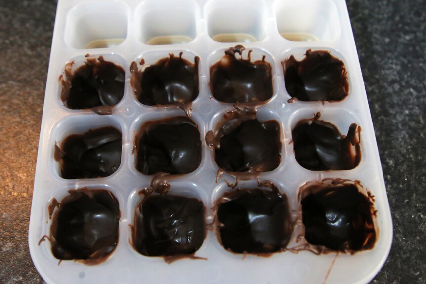 Melted chocolate in a plastic ice tray on a kitchen bench.