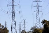 Electricity shake-up announced