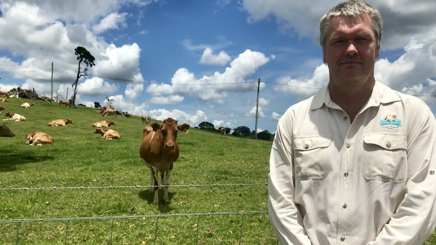 Peter Falcongreen looks at the camera with cows in the background.