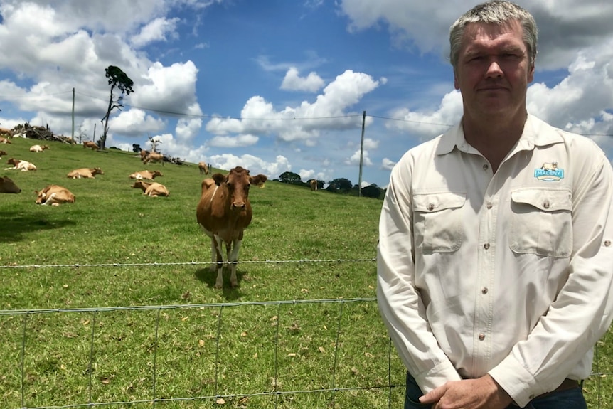 Peter Falcongreen looks at the camera with cows in the background.