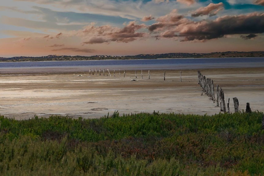 the tides out  near slat creek on coorong in south australia