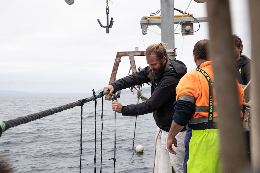 Bearded man adjusts ropes while standing on a boat at sea