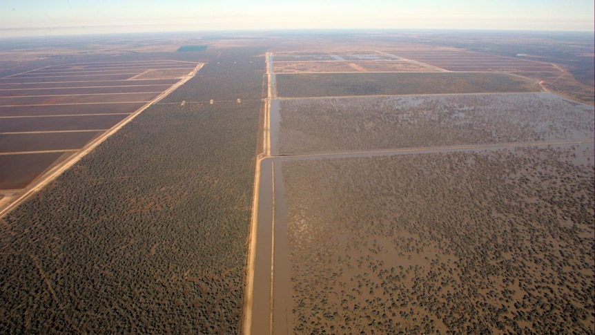 An aerial view of Australia's biggest cotton farm, Cubbie Station, in south-west Queensland.