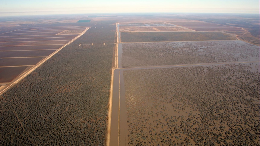 Aerial view of Cubbie Station cotton farm (AAP/Cubbie Group, file photo)