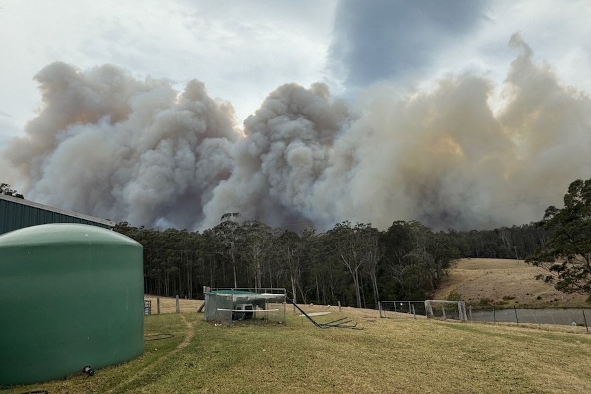 A plume of smoke rises above some trees. There is a water tank in the foreground.