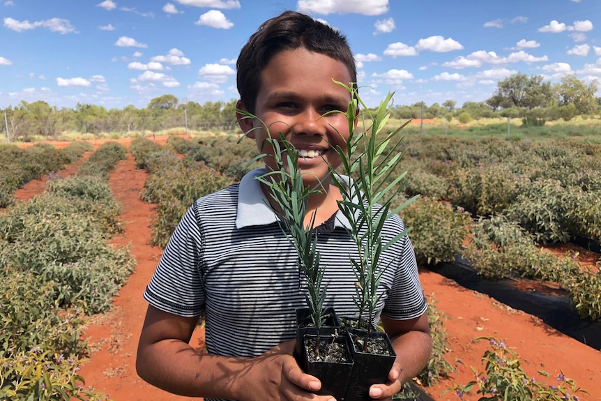 Child holding a few small trees on their property