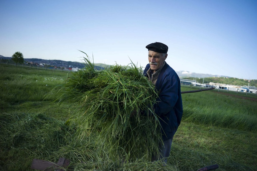 Farmer Salim works in a field near Sarajevo.
