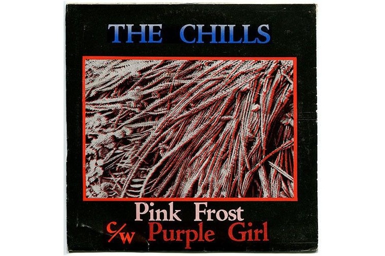 chills-pink-frost-900x506.jpg