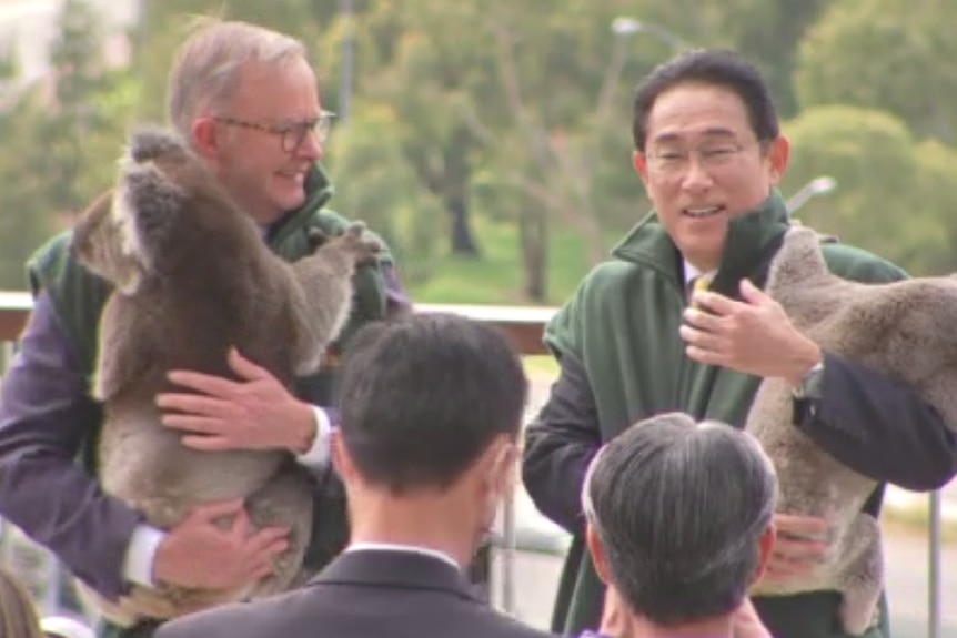 Australian Prime Minister, Anthony Albanese and Japan's Prime Minister (right) holding koalas. 