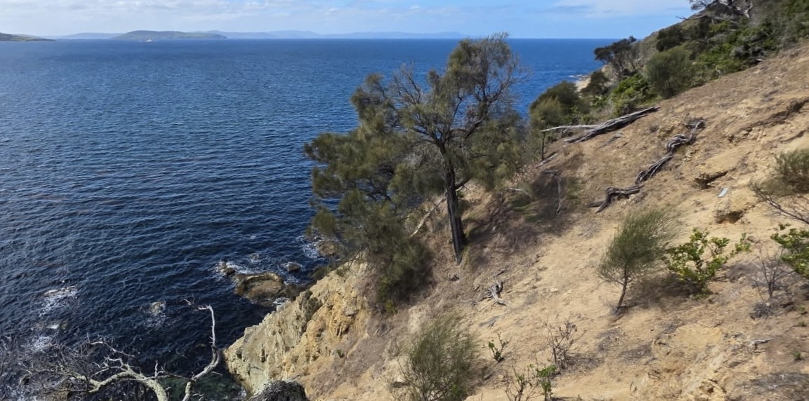 Two helicopter rescues in Tasmania after separate bushwalker mishaps