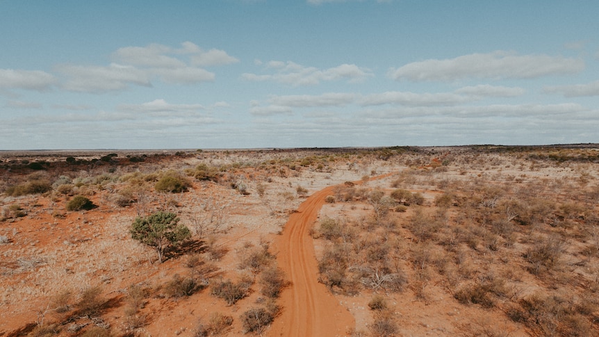A red dirt road amongst a dry cattle station with dying shrubs