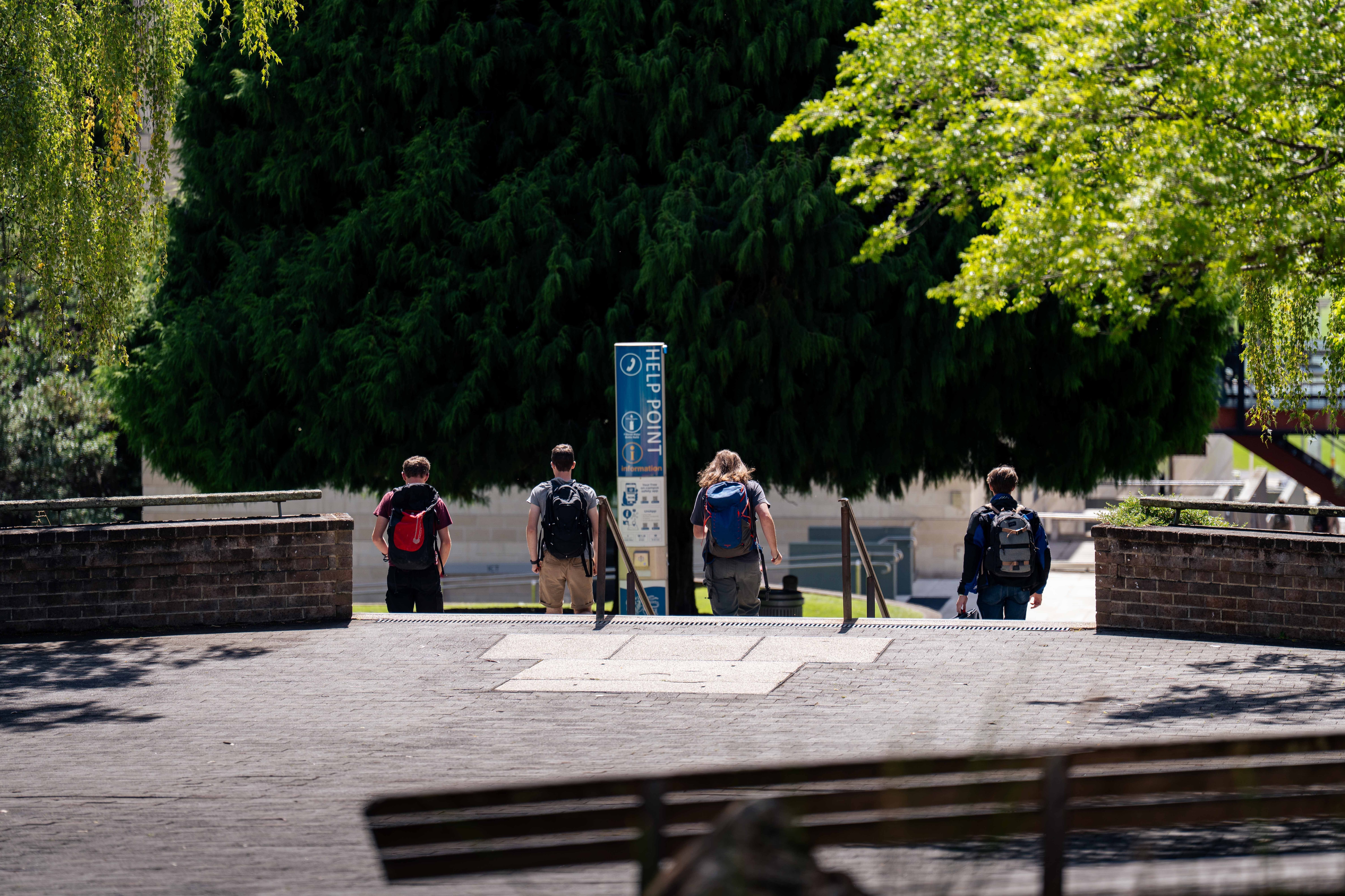 Students gathered on a university campus