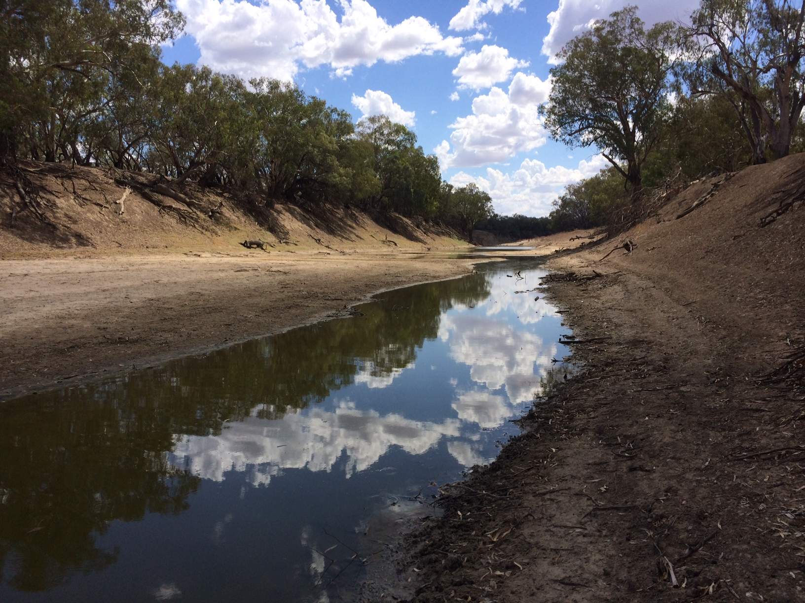 Drought Continues To Spread Through Nsw Abc News