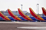 Five bright aircraft tails in yellow red and blue are seen parked side by side in a desert airport with palm trees in background