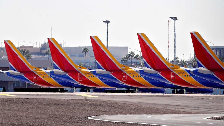 Five bright aircraft tails in yellow red and blue are seen parked side by side in a desert airport with palm trees in background