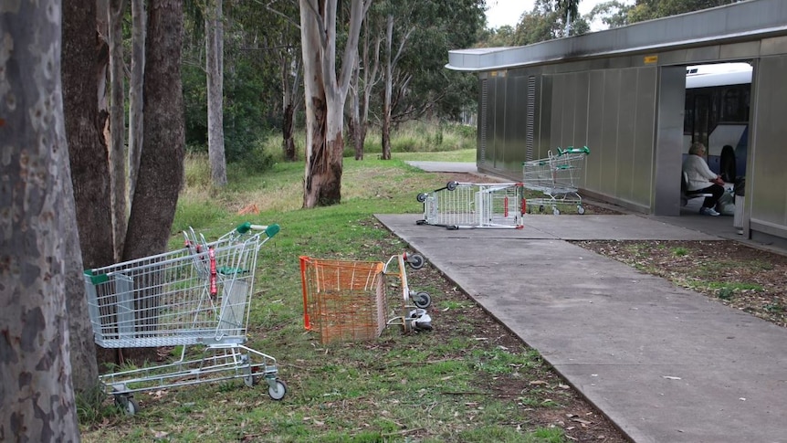 Supermarket trolleys dumped