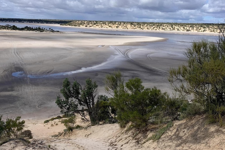 Sandy scrub edge of lake with sandbanks