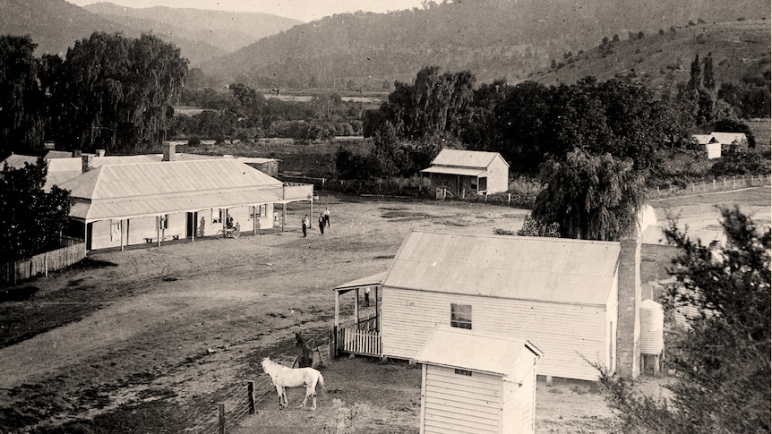 Sepia colour view from a hill overlooking two building on either side of a road, with horse in a paddock in the foreground
