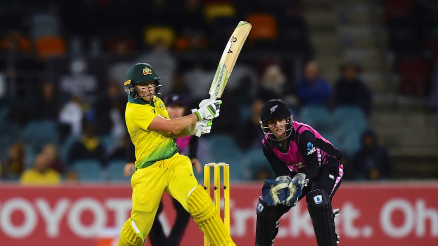 Alyssa Healy bats against NZ in Canberra T20