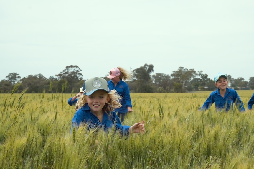five primary school students run through a wheat field