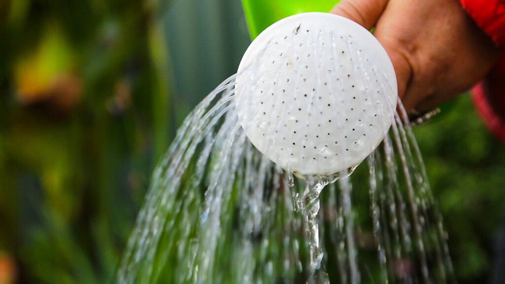 Water flowing from a watering can spout.