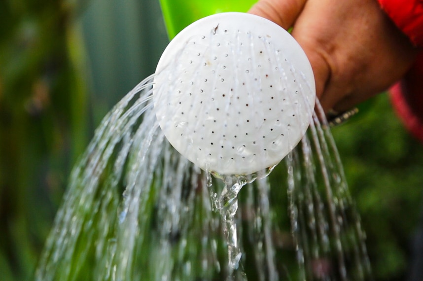 Water flowing from a watering can spout.