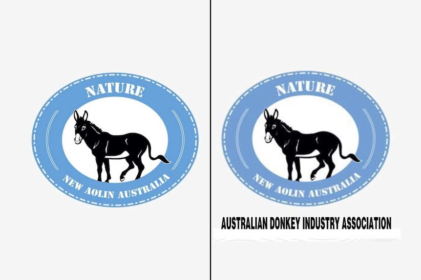 Two logos side by side in blue and white, one for ADIA and the other for New Aolin Australia.