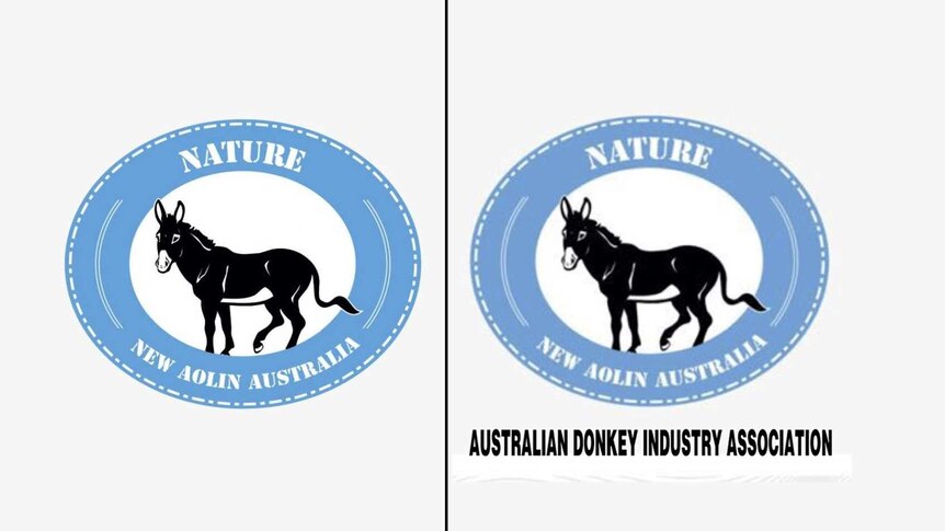 Two logos side by side in blue and white, one for ADIA and the other for New Aolin Australia.